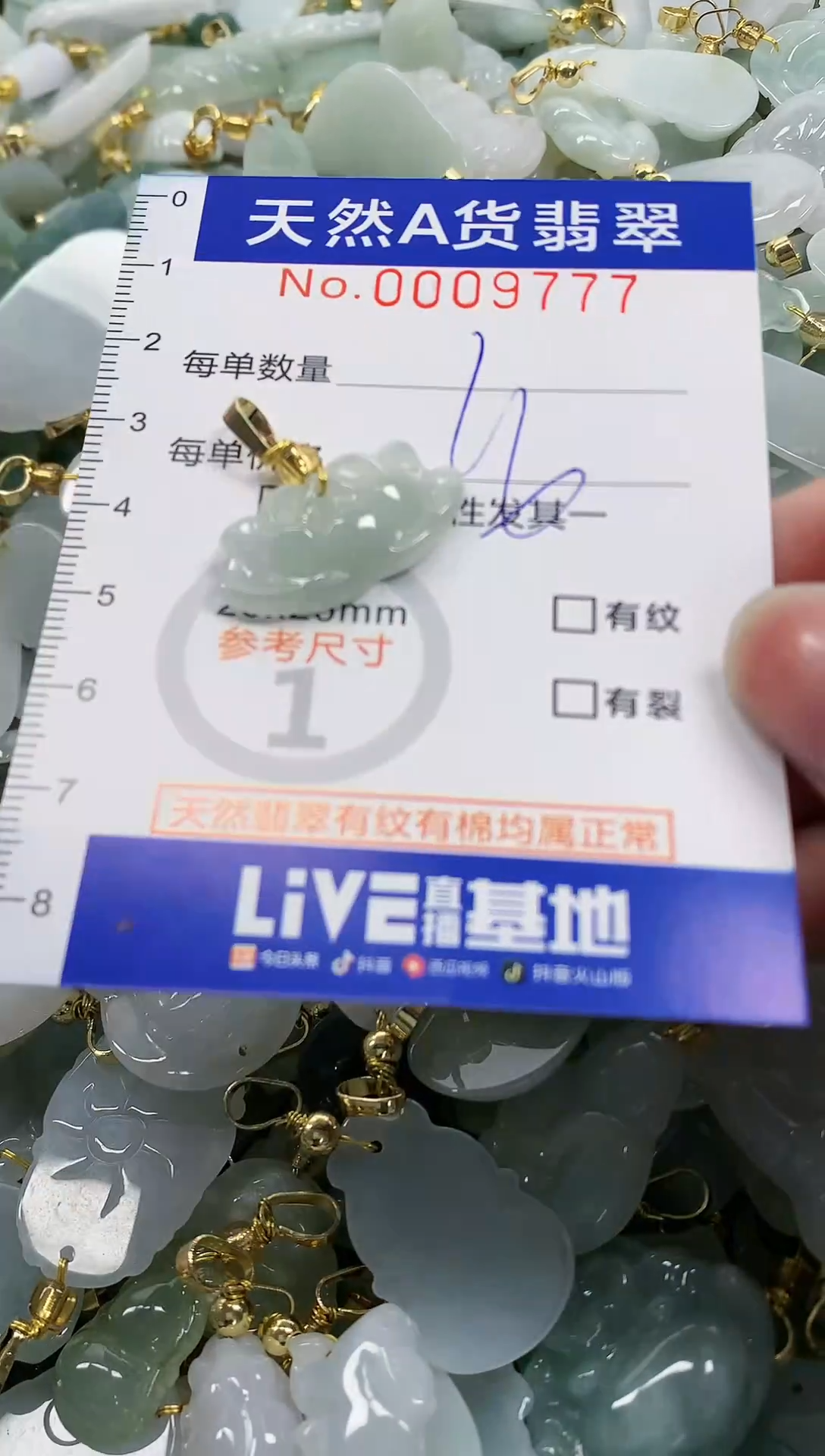 颈饰未镶嵌翡翠纯天然a货翡翠
