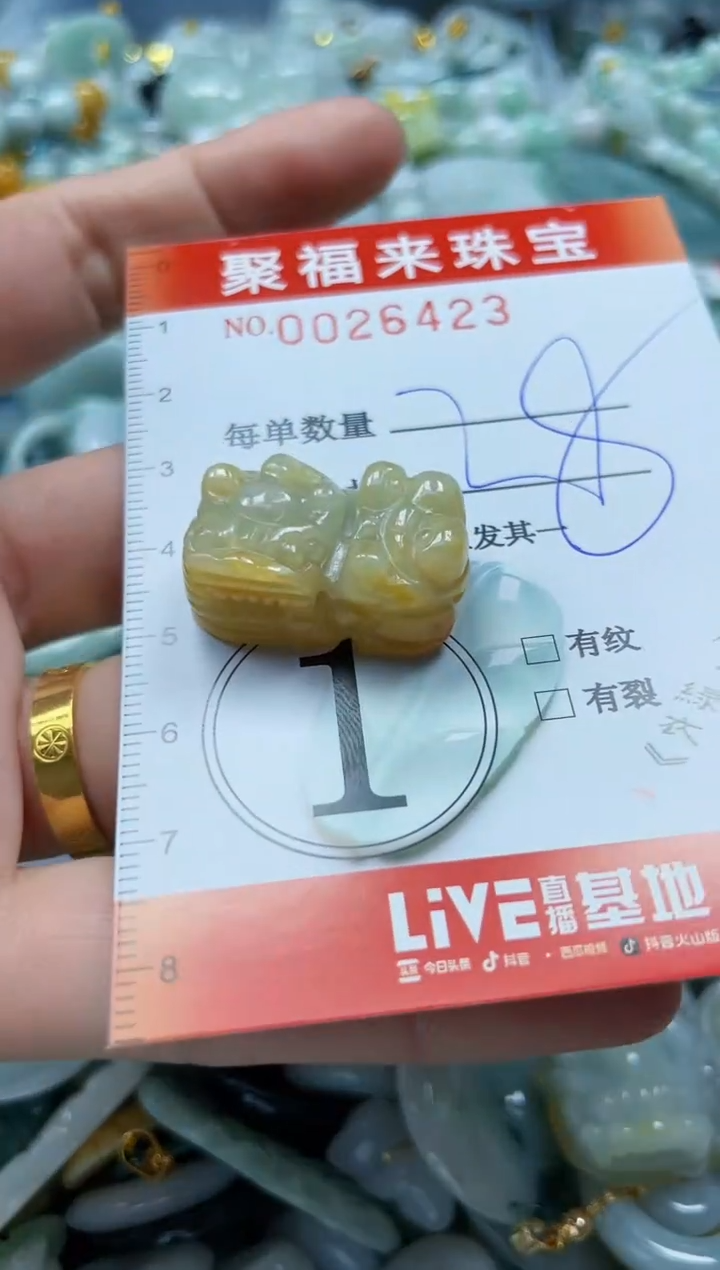 【闪购商品】翡翠颈饰未镶嵌闪购0026423