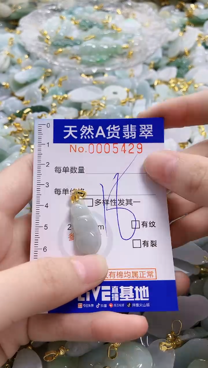 颈饰未镶嵌翡翠天然A货翡翠