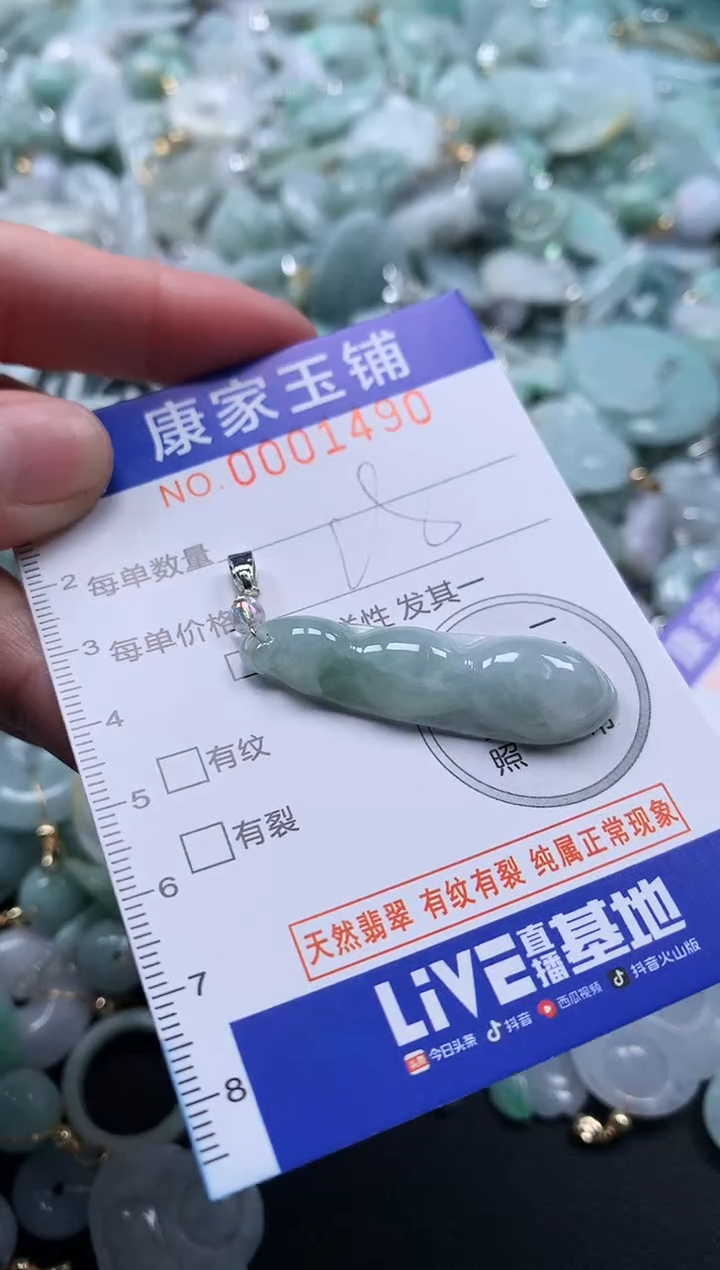颈饰未镶嵌翡翠1490