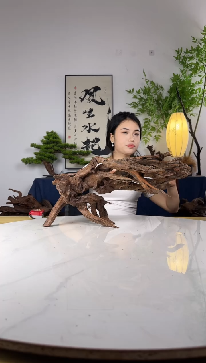 无*∞拍这个定向编号173