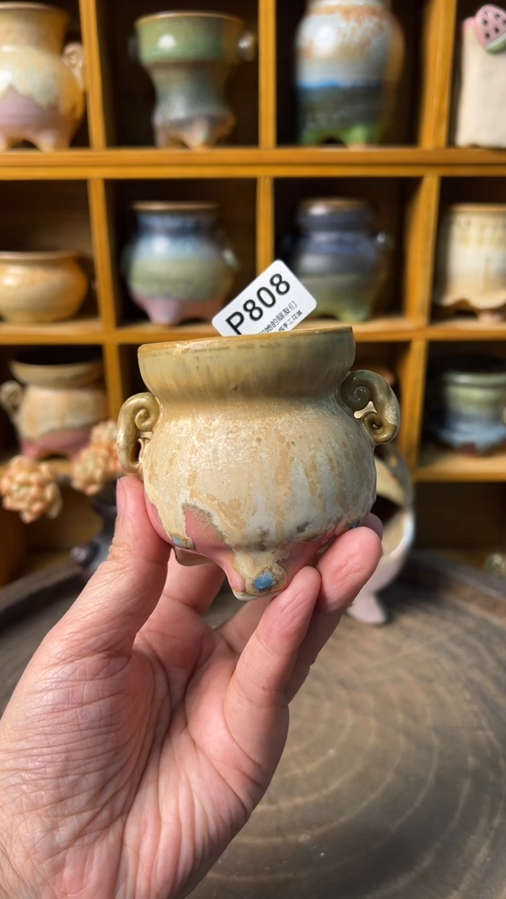 808 内口5.5【多肉花盆多肉盆】