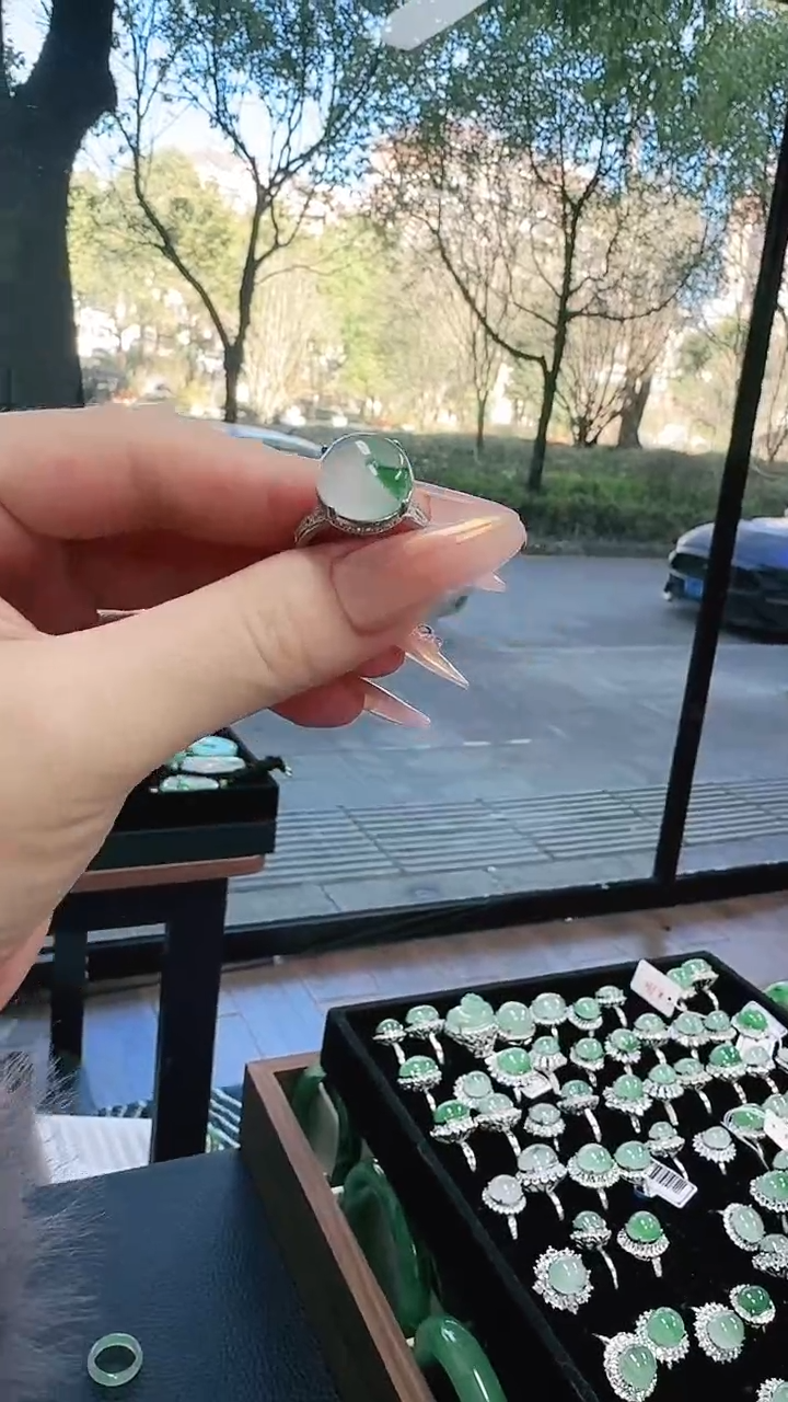 未镶嵌1石英质玉（非洲翠）/6160