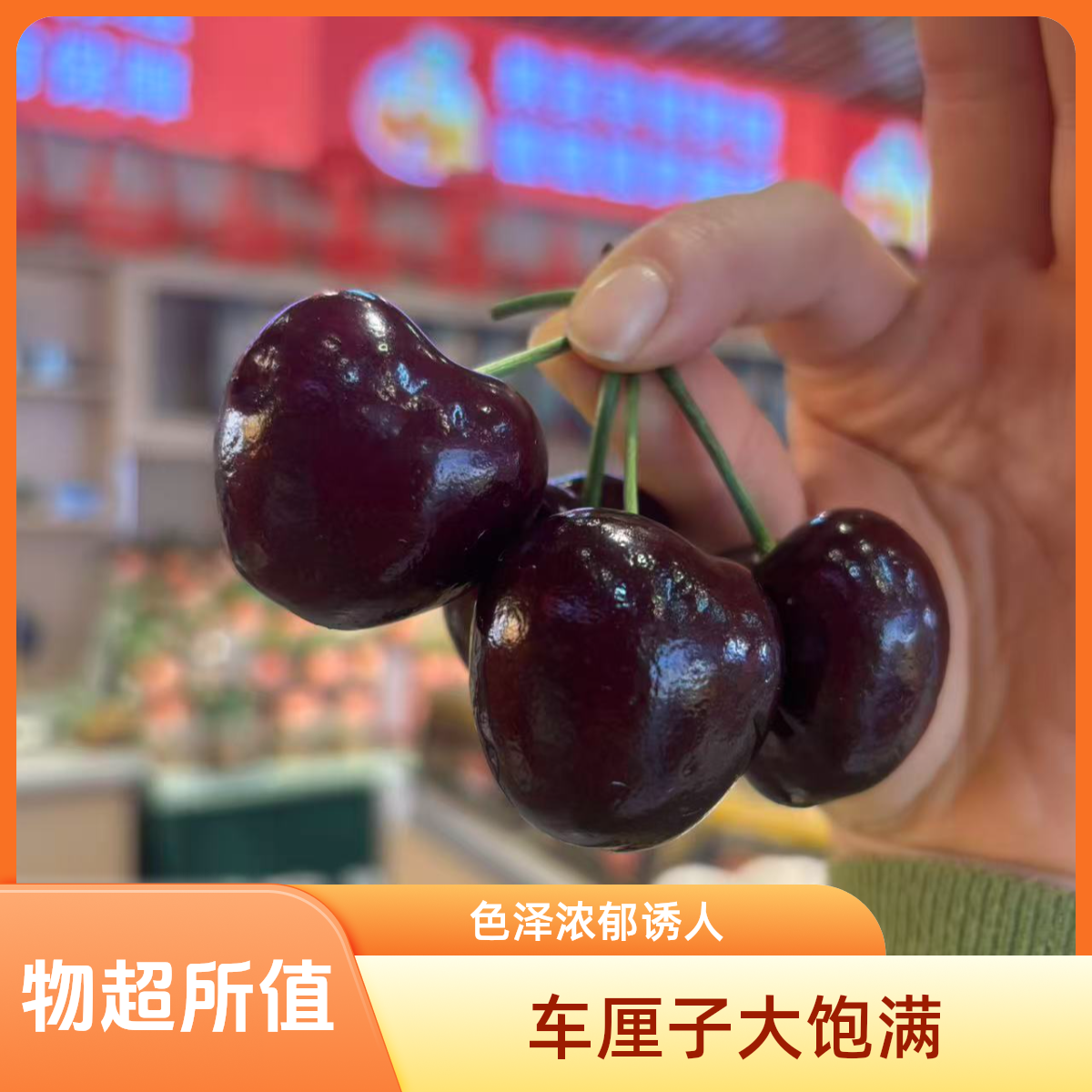 海运智利车厘子 桑提娜黑车3J 脆甜多汁1-5斤桑提娜樱桃智利共和国