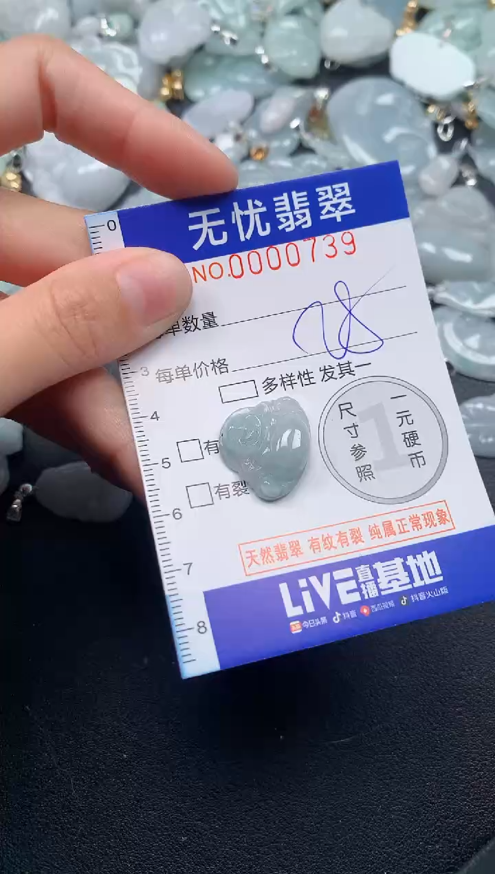 颈饰未镶嵌翡翠739