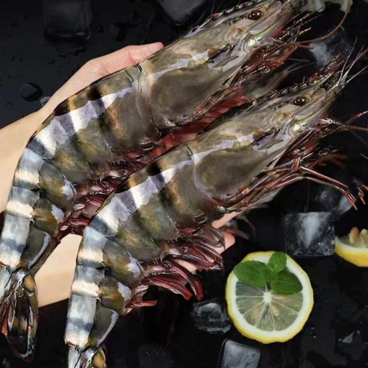 超大2125黑虎虾3斤（1斤10-12只单只16-18cm左右)