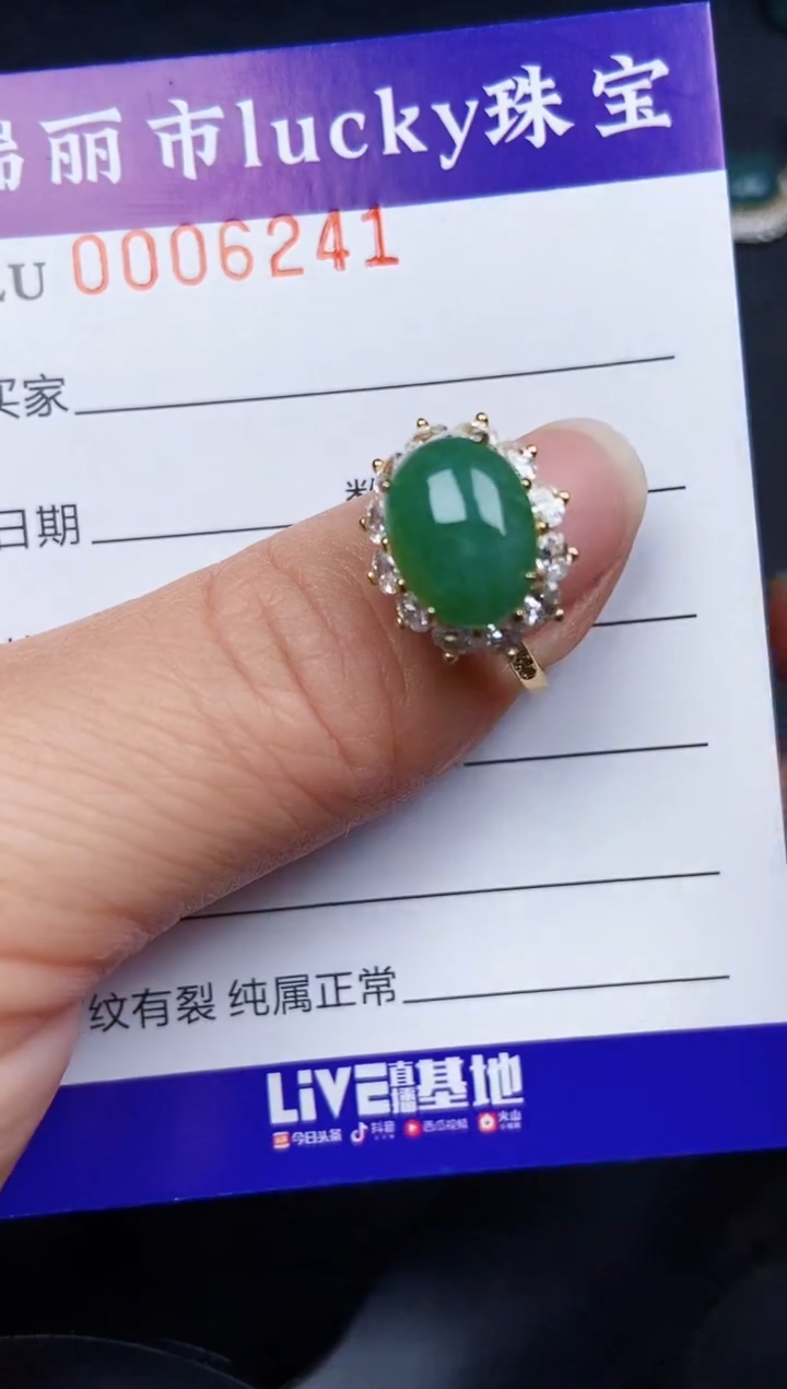 翡翠银S925镶嵌颈饰6241
