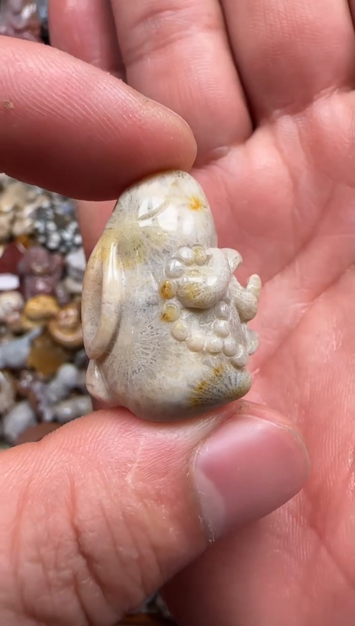 【闪购商品】硅化珊瑚（珊瑚玉）颈饰未镶嵌080