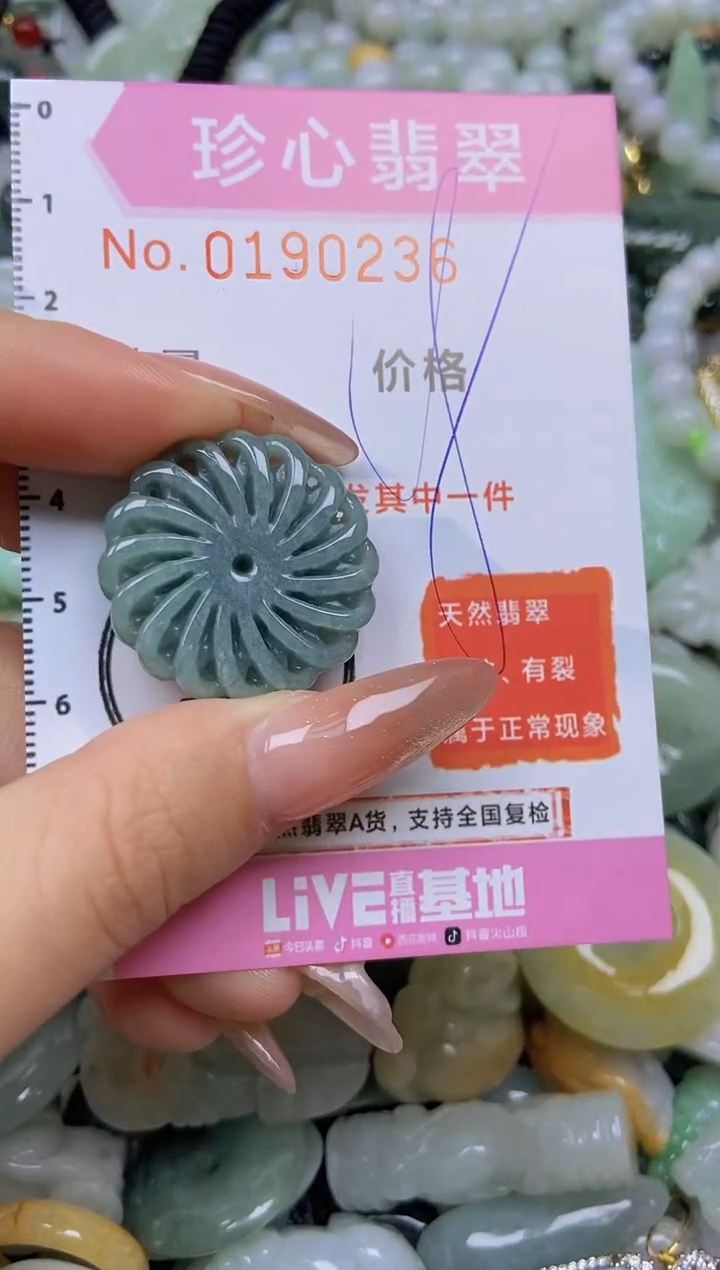 翡翠未镶嵌颈饰闪购链接0190236