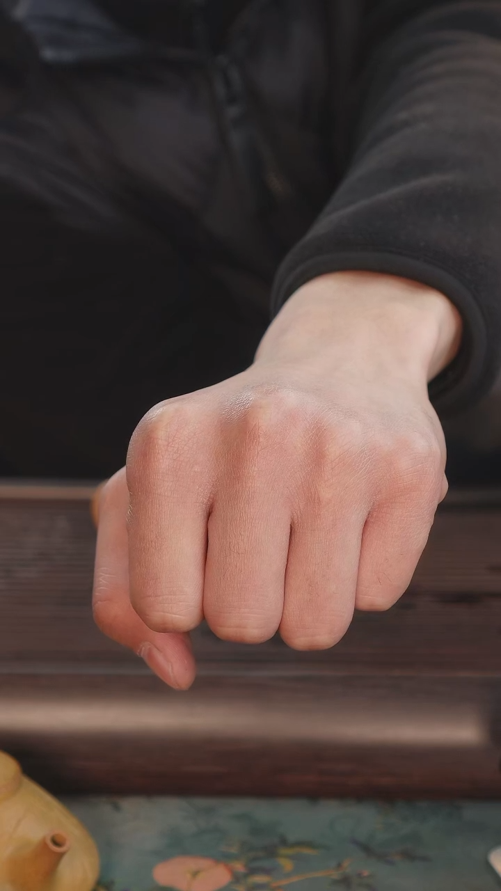 【闪购商品】紫砂茶壶预定青段子冶+五鸟图