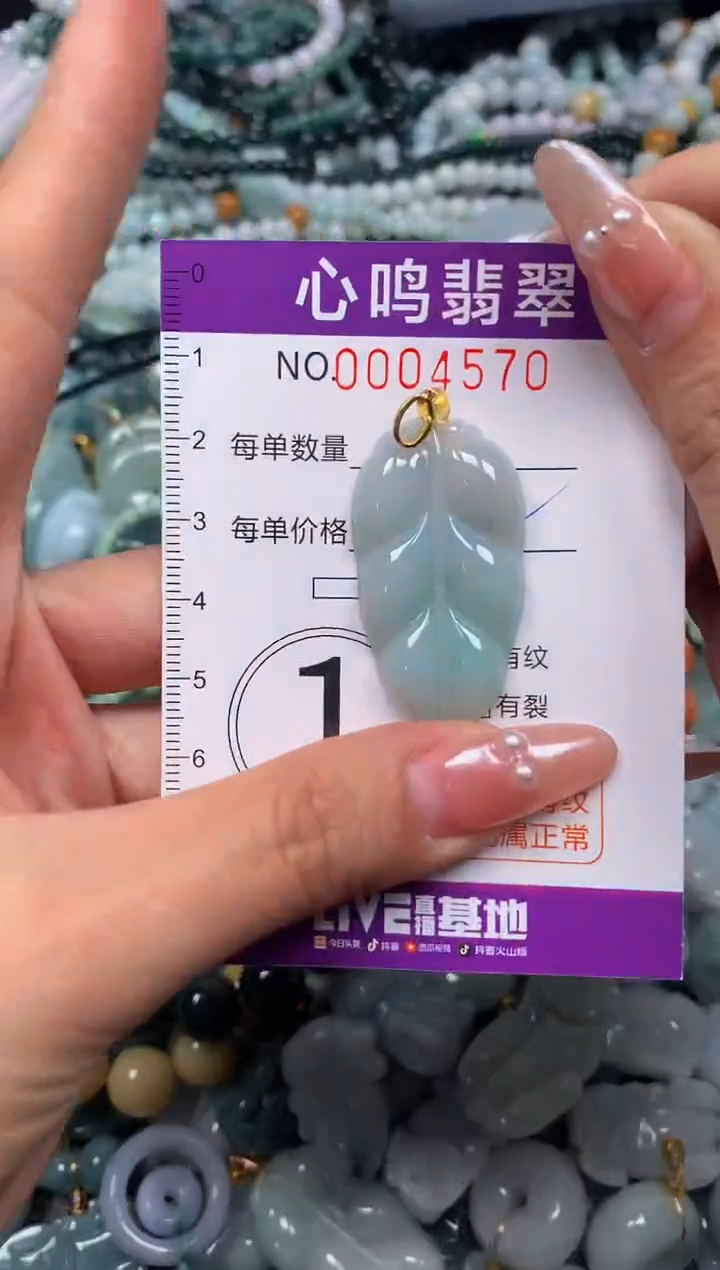 颈饰未镶嵌翡翠闪购004570