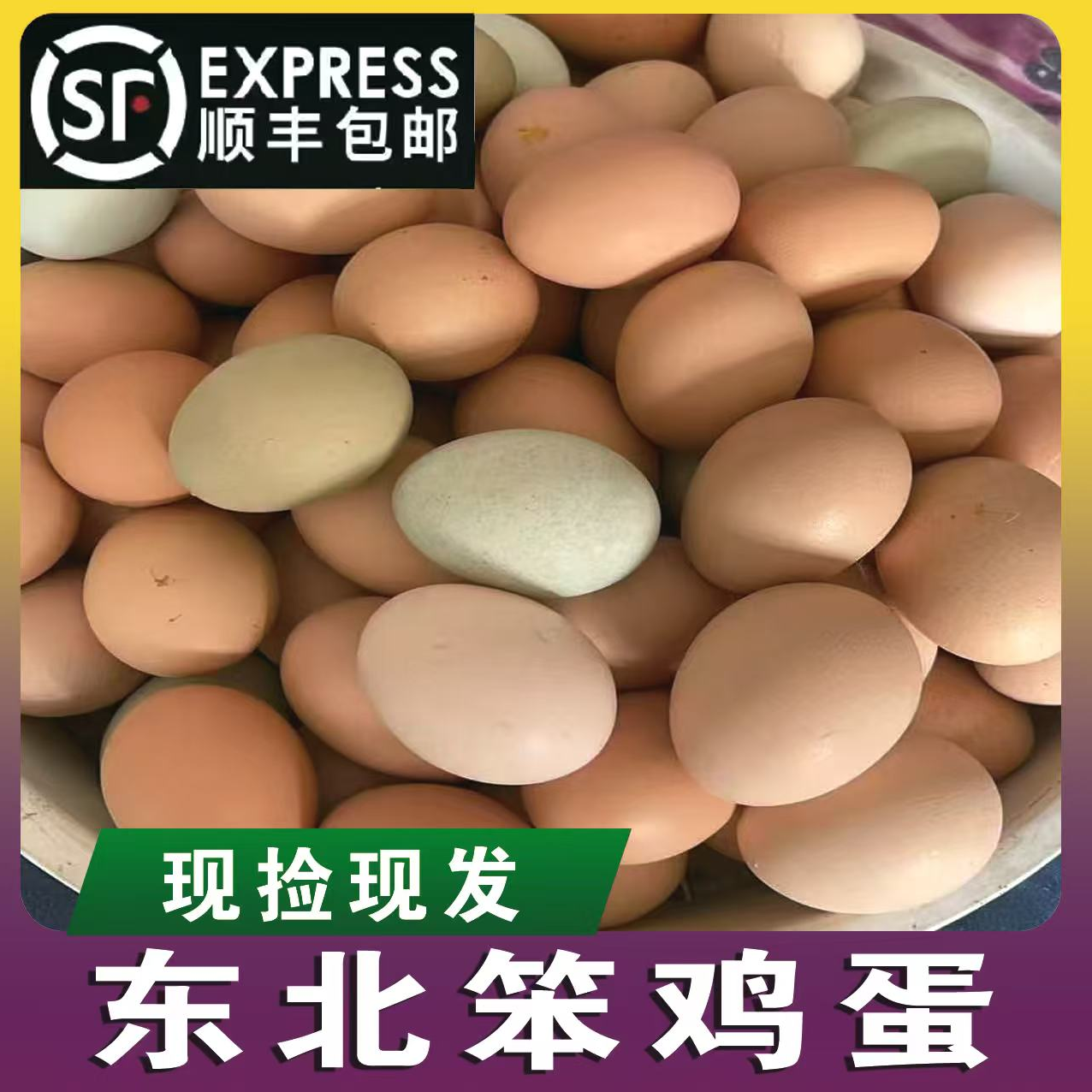东北农村新鲜散养笨（土鸡蛋）现场装箱一箱50枚包邮不支持拦截