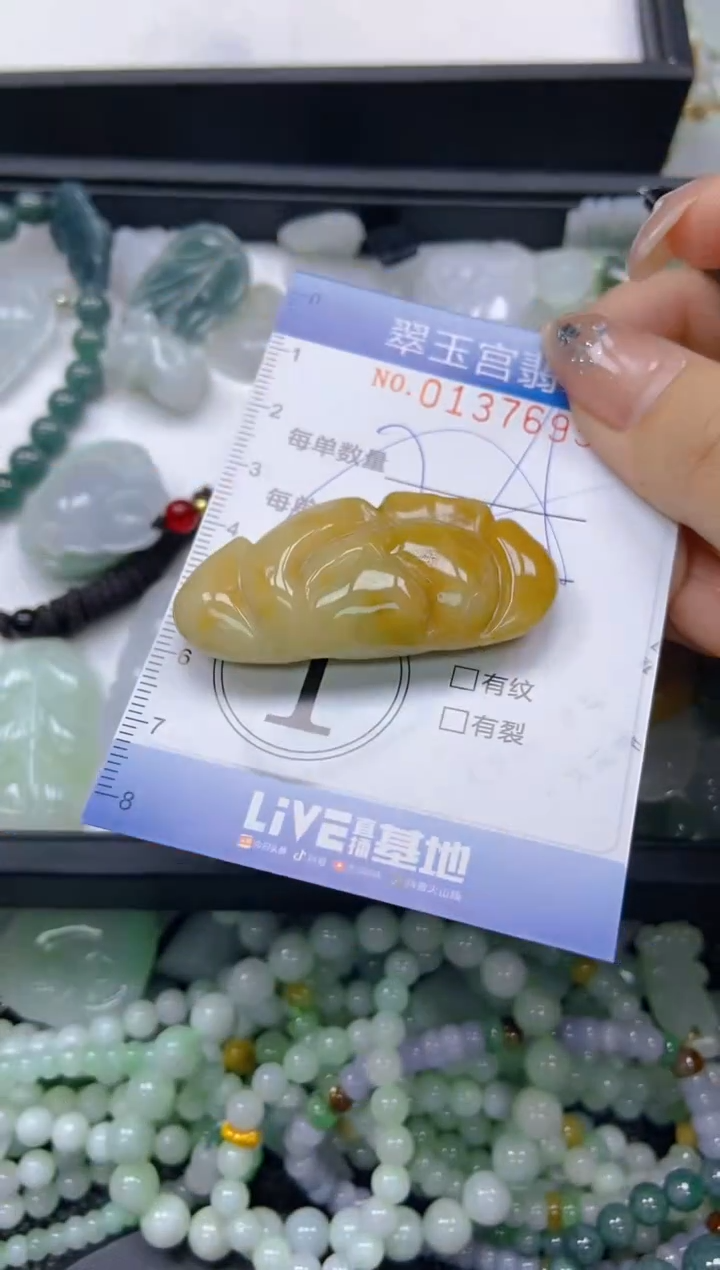 翡翠未镶嵌颈饰闪购0137695