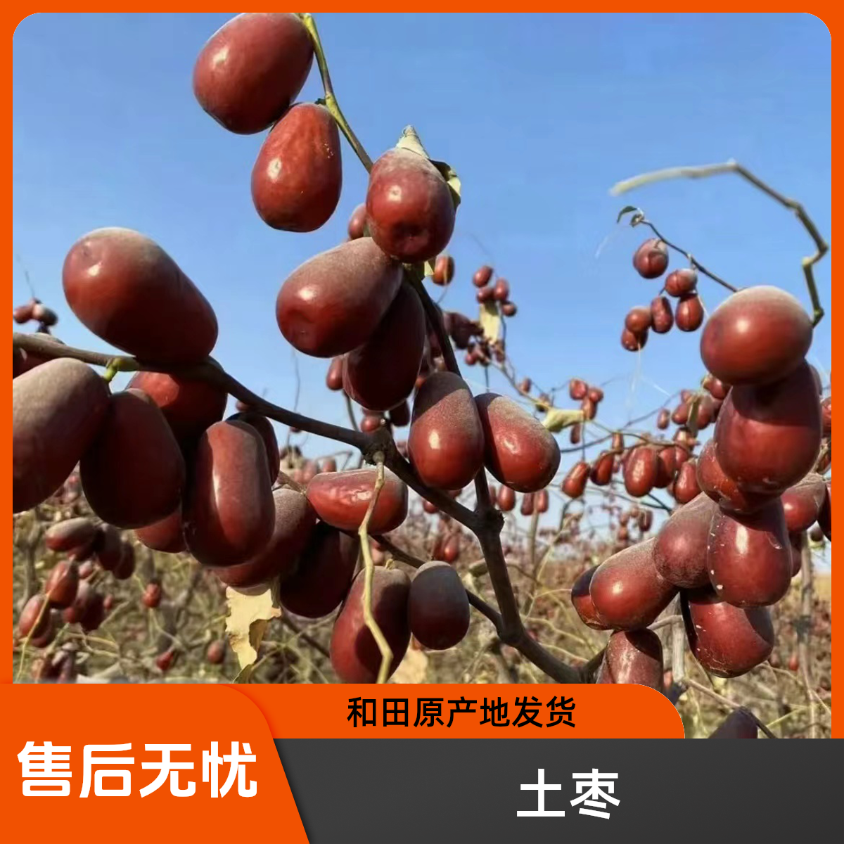 2025年 一特级 新疆和田大枣原生态吊干枣不清洗产地直发