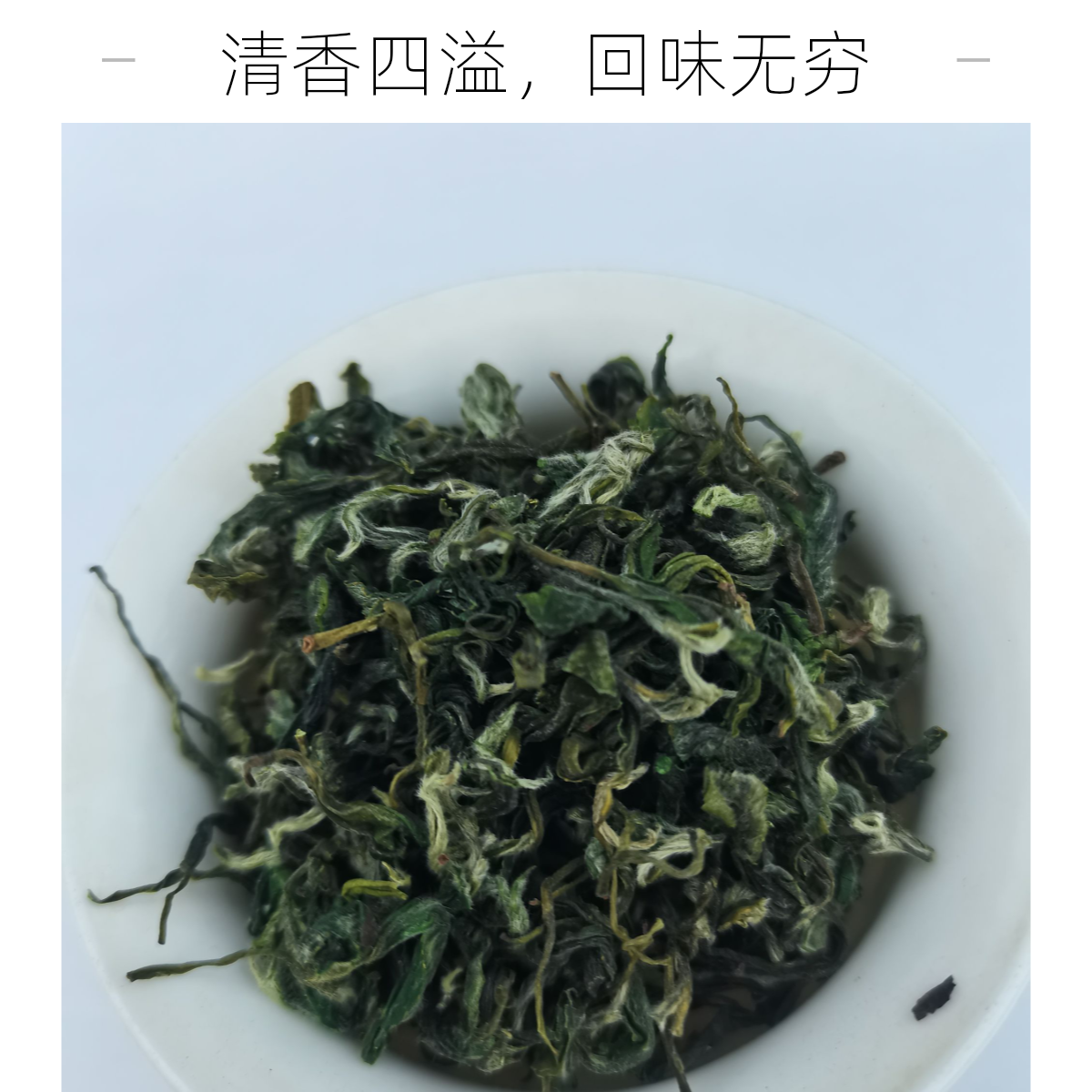 贵州梵净山绿茶2025年明后新茶鲜叶春茶栗香#贵州的宝藏小城赤水