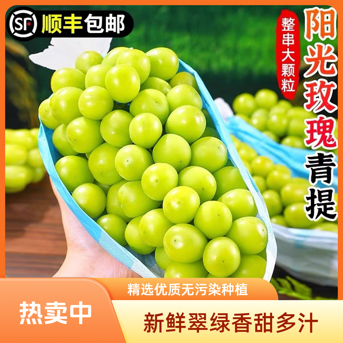 w【顺丰包邮】云南高原头茬现摘阳光玫瑰葡萄无籽青提新鲜应季水果