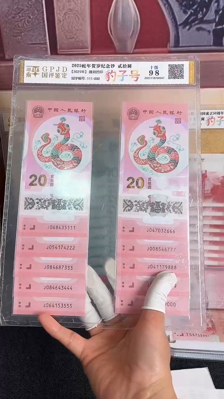 塑料蛇年生肖纪念钞十连号尾豹