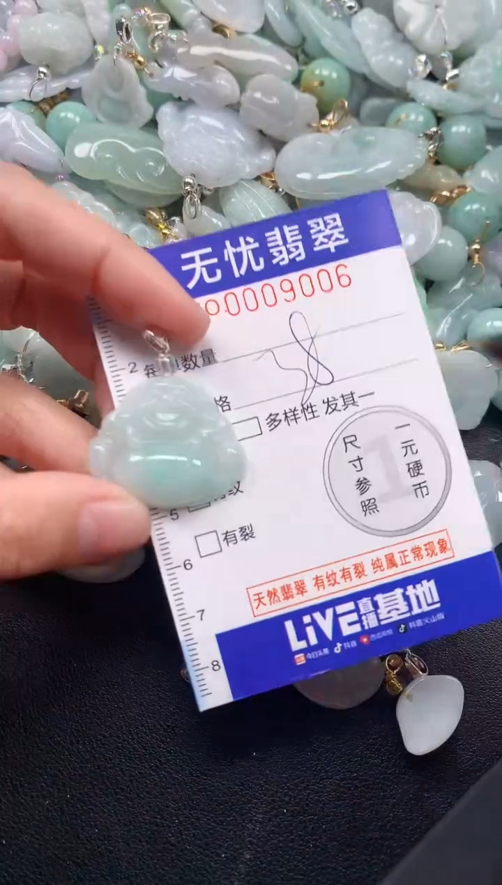 颈饰未镶嵌翡翠9006