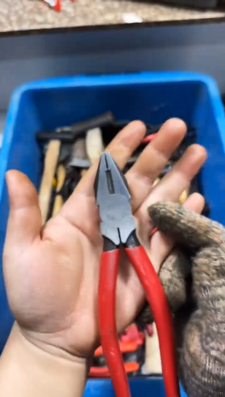 前**锦麻嘎子工具闪购链接一物一拍