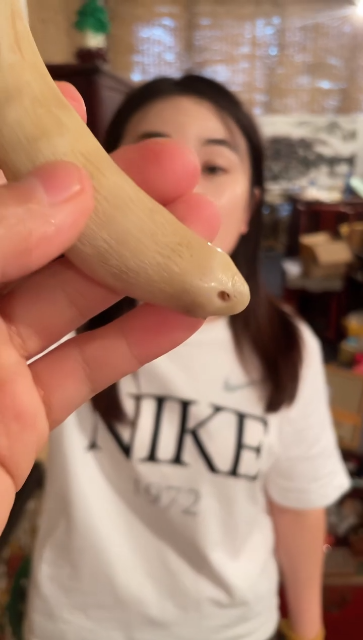 一一一一一一大脑