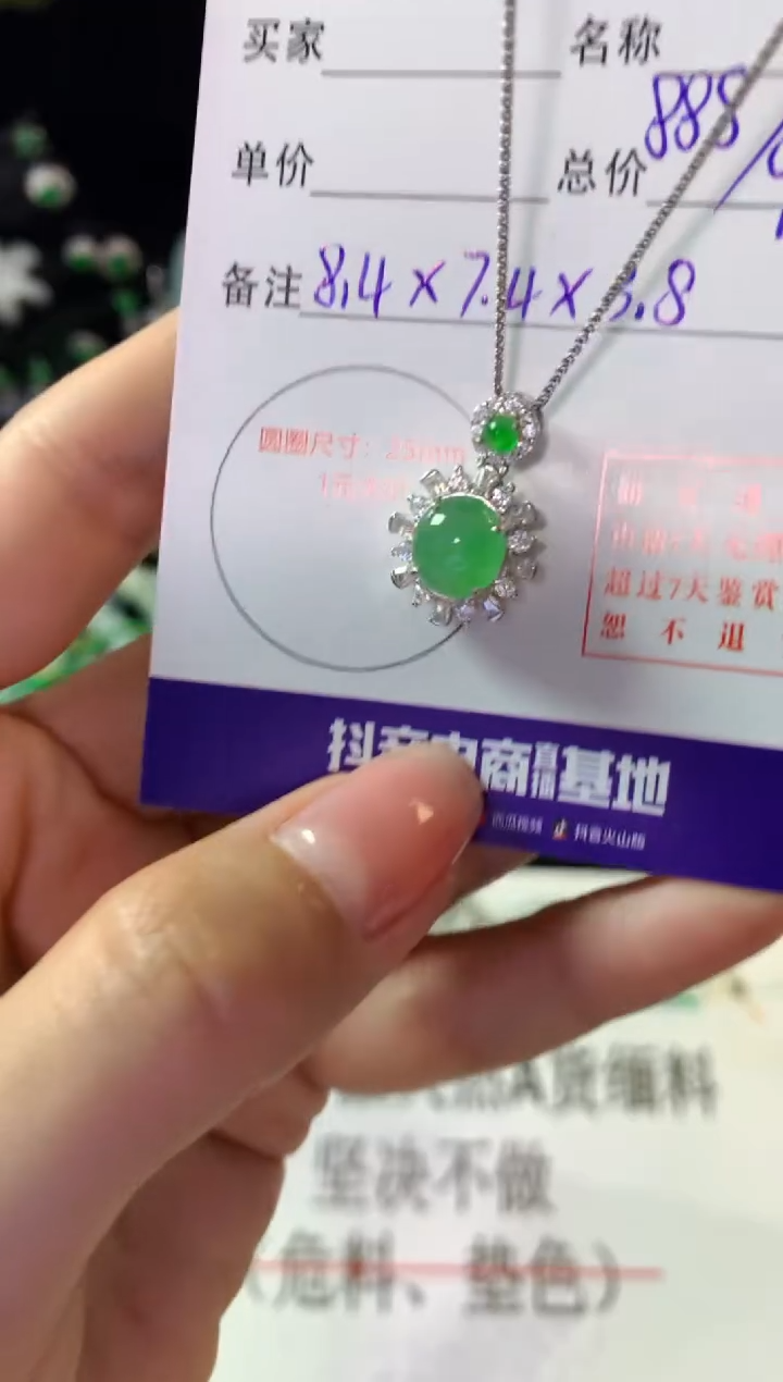 翡翠银S925镶嵌颈饰翡翠