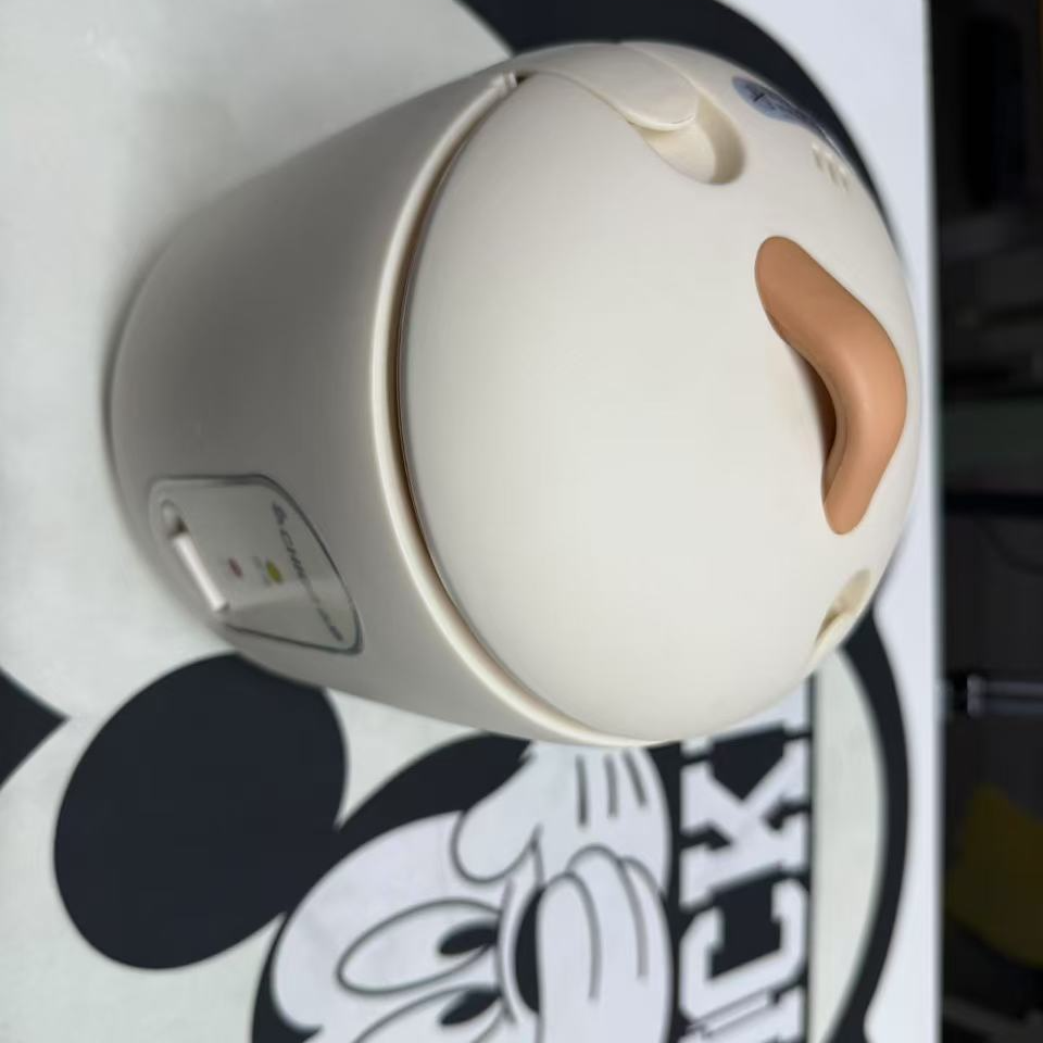 家用迷你小电饭煲ss