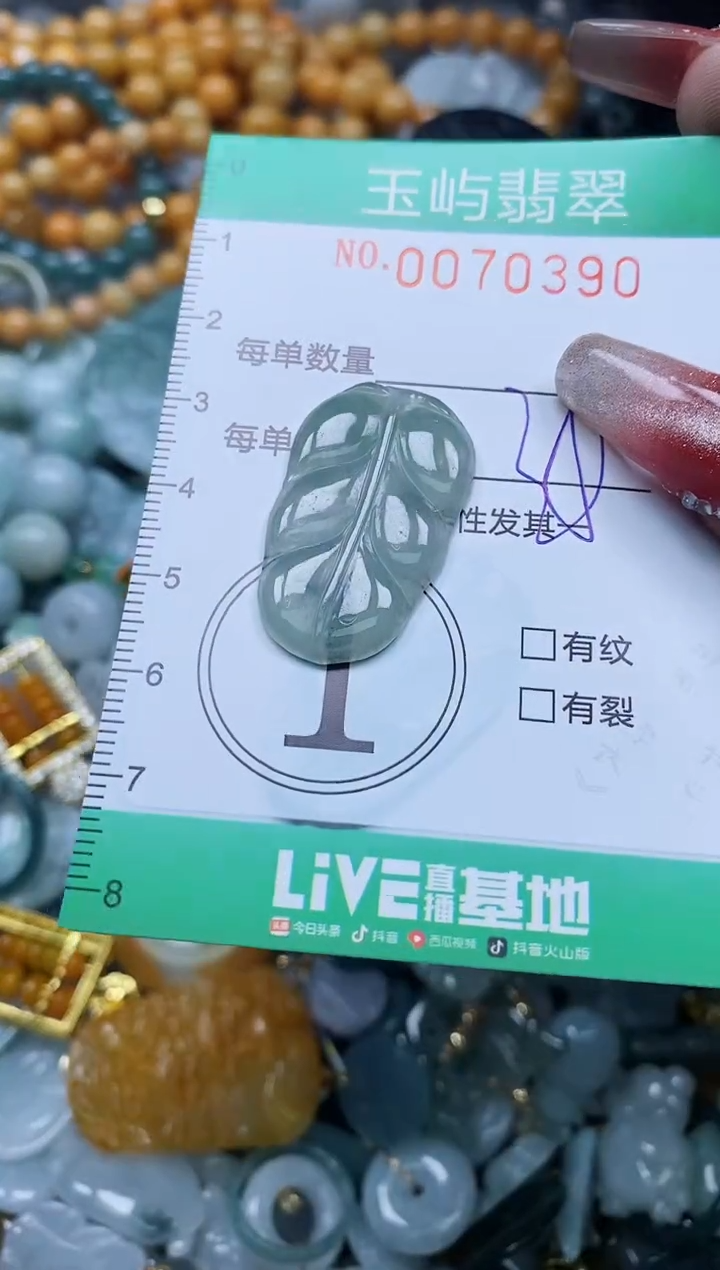 【闪购商品】翡翠颈饰未镶嵌闪购0070390