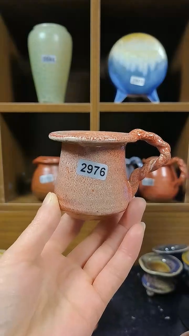 【闪购商品】红陶2976