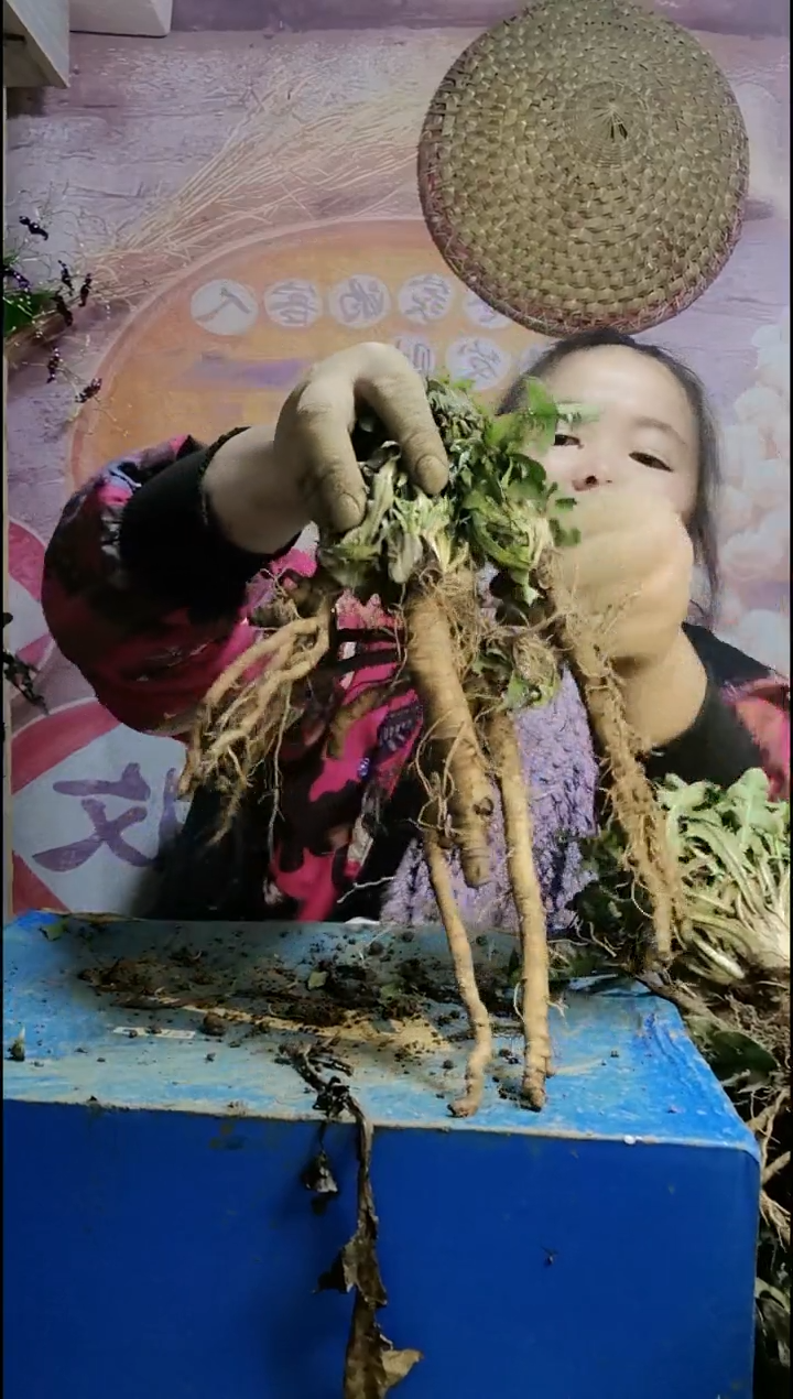 少量花朵（建议范围：2朵-5朵 或40%以下）阿****记蒲公英