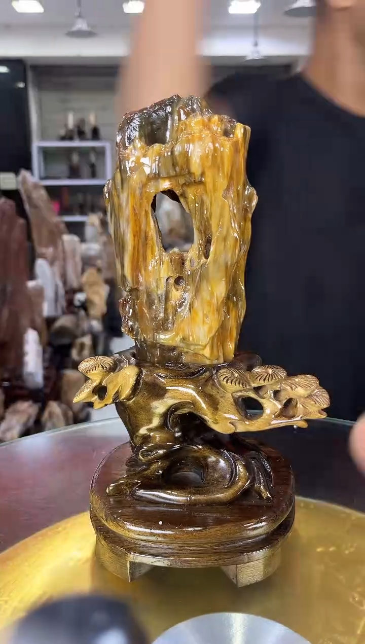 硅化玉珠宝奇石未镶嵌缅甸天然树化玉