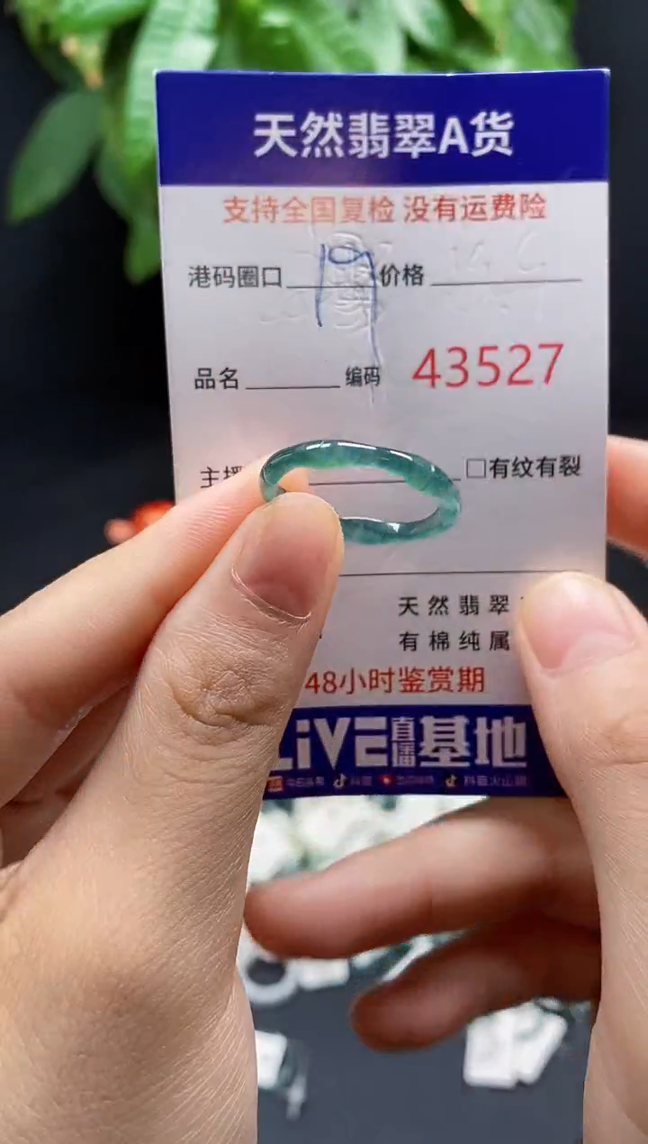翡翠戒指未镶嵌天然翡翠戒圈3527