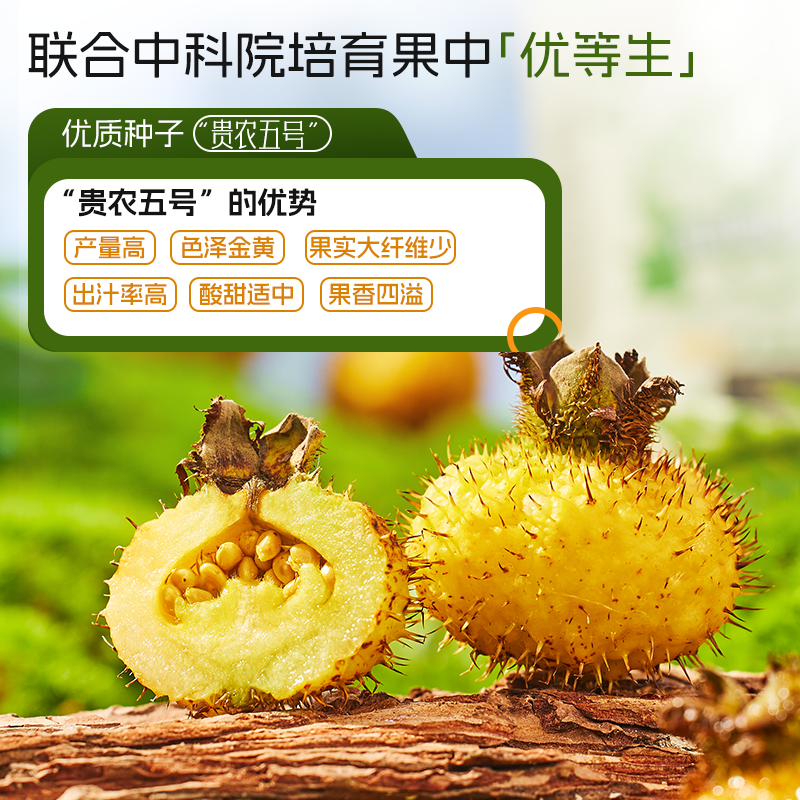 初好【国企出品】有机刺梨100%原浆维C-SOD黄酮营养包NFC24小时锁鲜