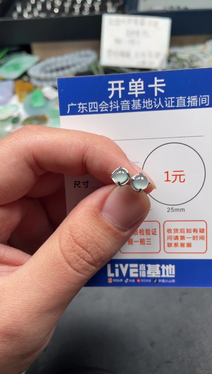 【闪购商品】翡翠颈饰银S925镶嵌耳钉