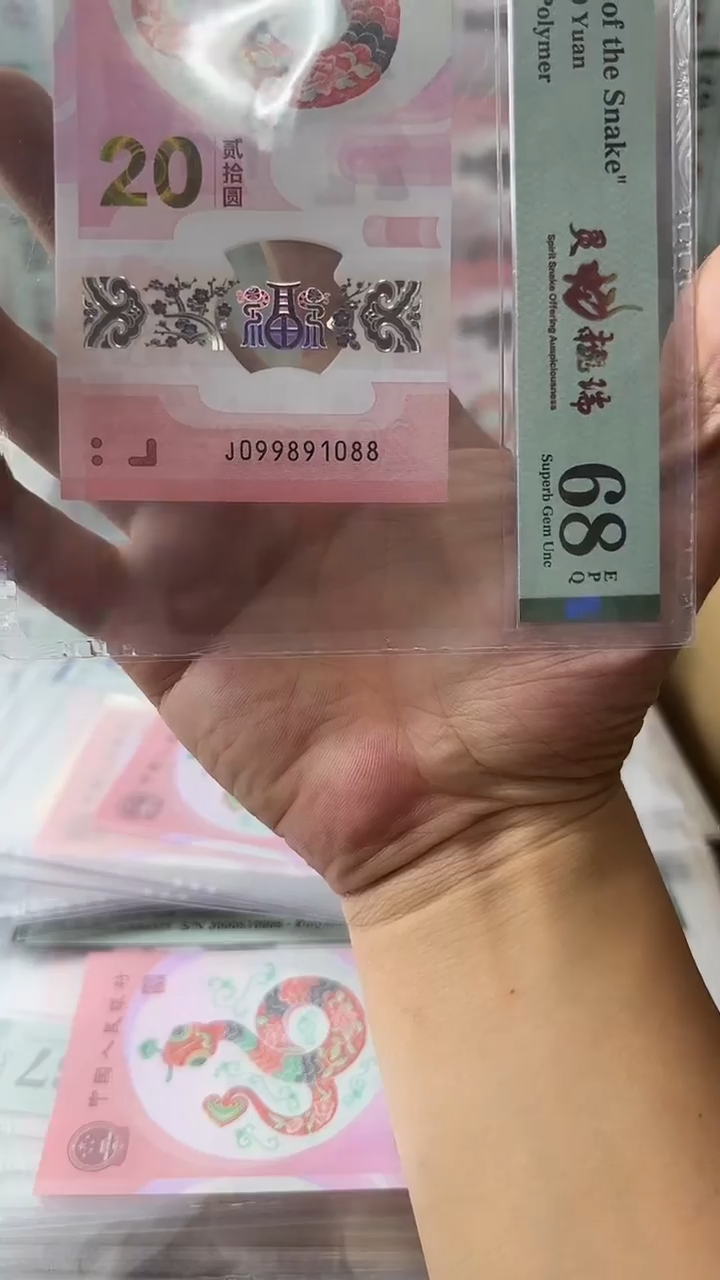塑料099891088-蛇钞单张