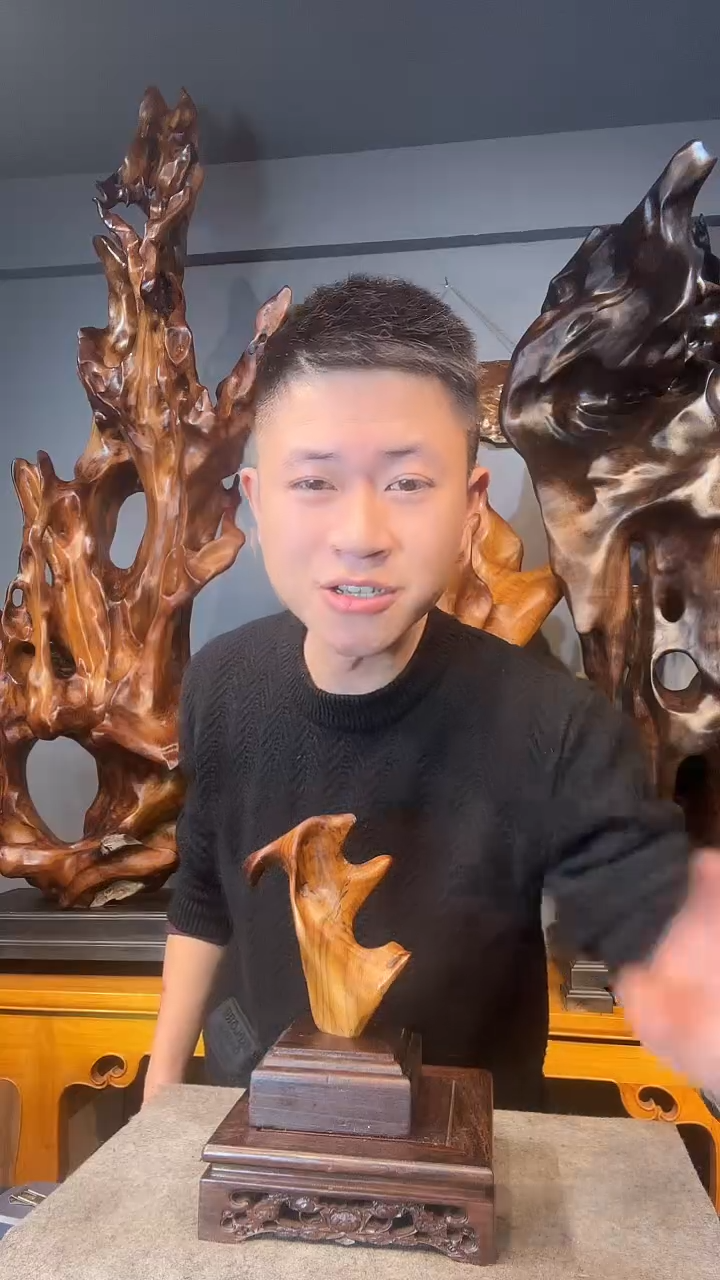 金丝楠安**树以直播间介绍为准