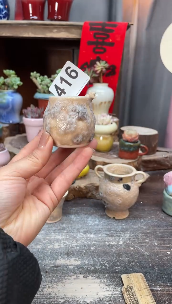 【闪购商品】摆件416知木小芳花盆
