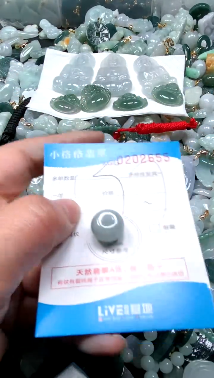 【闪购商品】翡翠颈饰未镶嵌闪购商品0202655