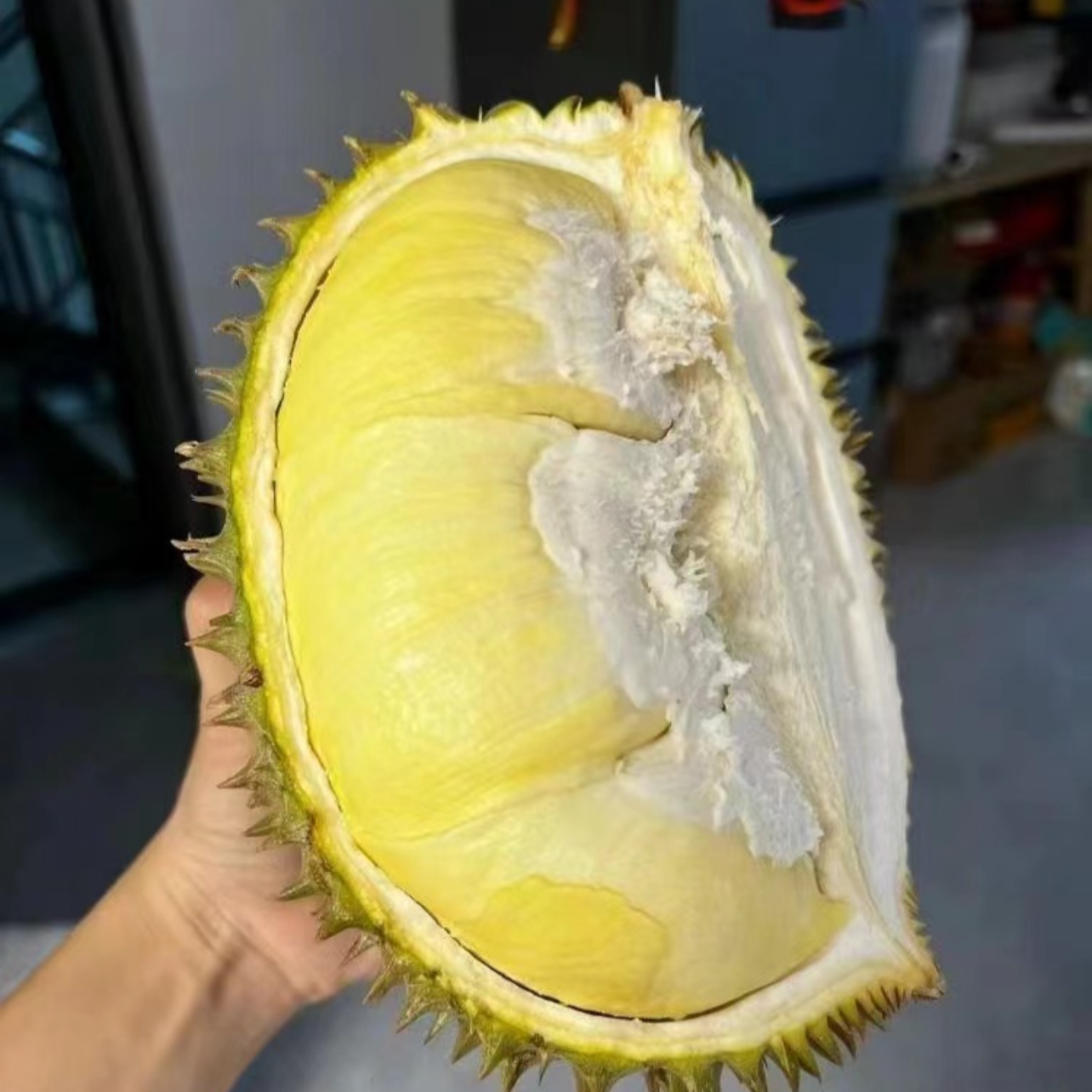 【广州市内跑腿】得一山泰国树熟空运新鲜榴莲核小