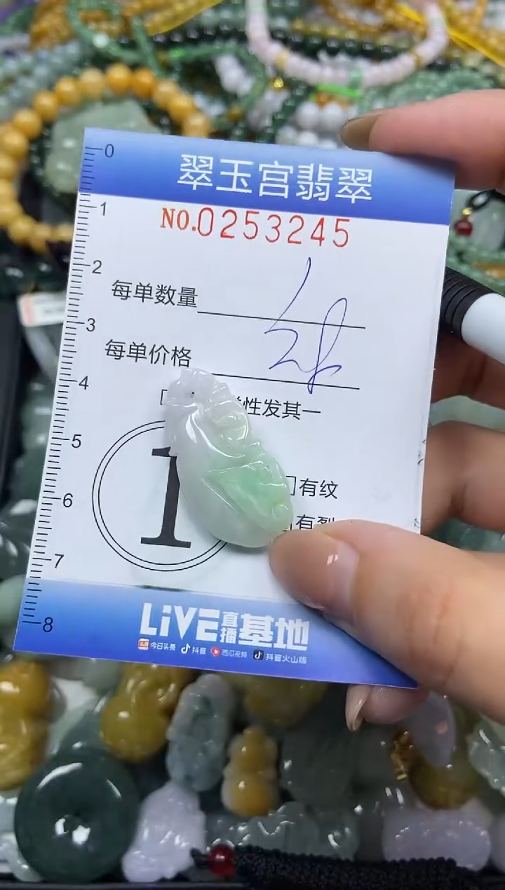 颈饰未镶嵌翡翠闪购C0253245