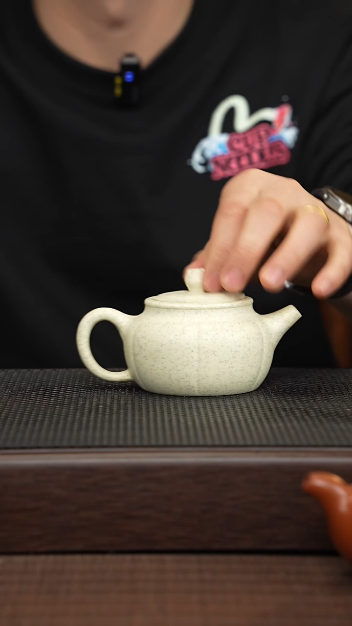 【闪购商品】紫砂茶壶源头精品手工作品3854