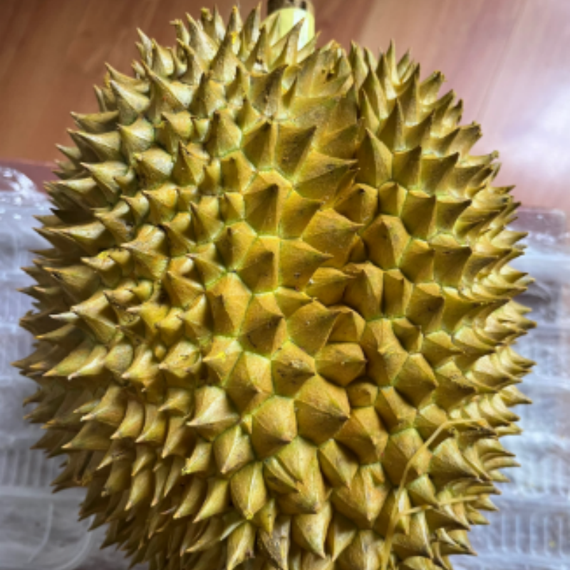 泰国鲜榴莲金枕榴莲（5-6斤左右一个核小）榴莲同城送金枕泰国