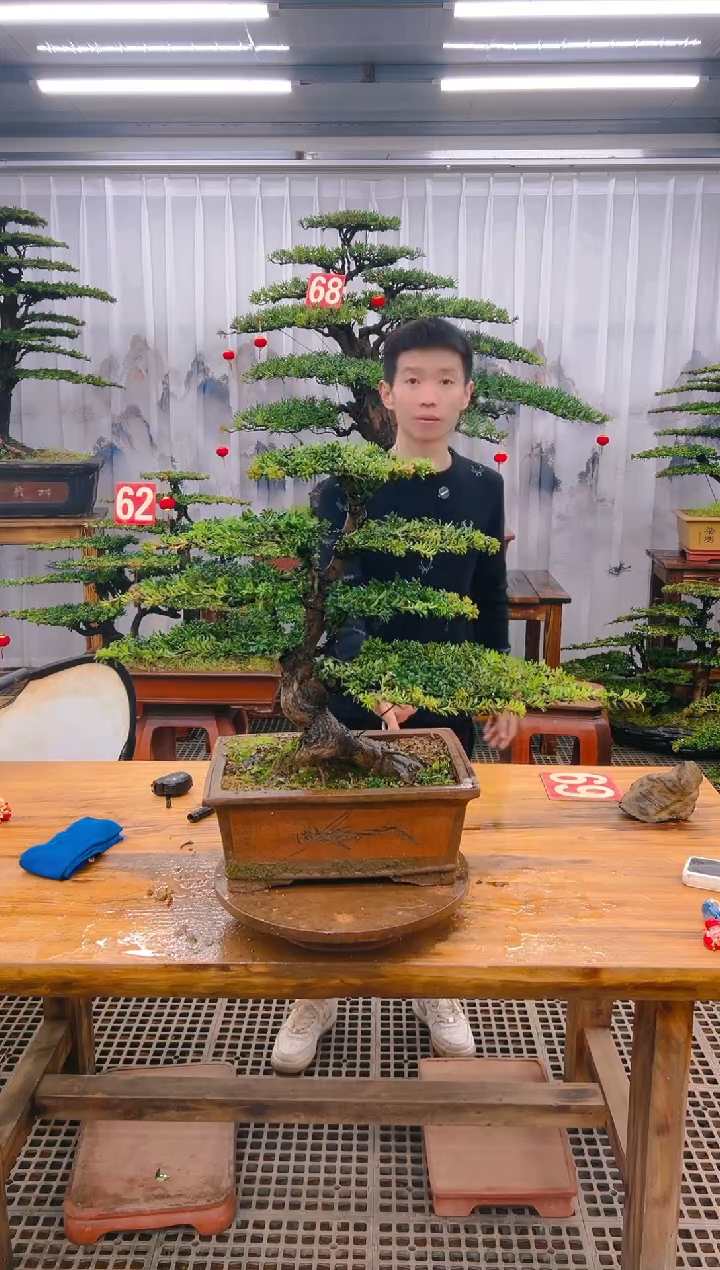 【闪购商品】紫砂精品盆景直播间一物一拍