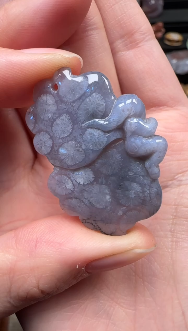 颈饰未镶嵌硅化珊瑚（珊瑚玉）836