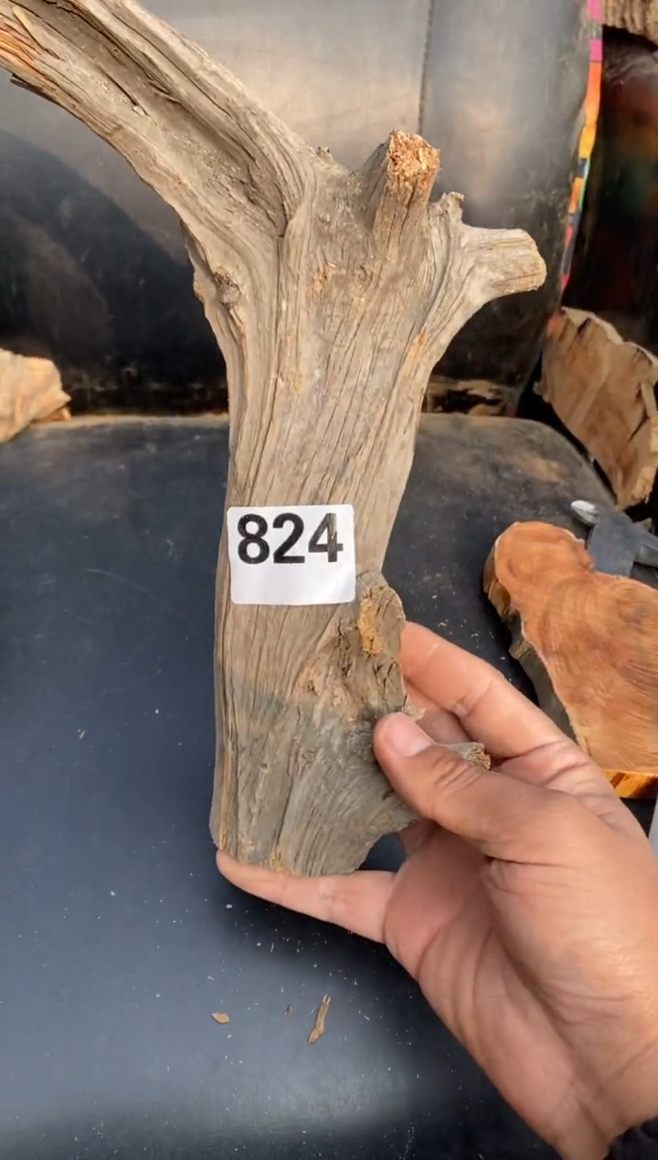 柏木（崖柏）太行陈化崖柏切片！随机（1单1片）824