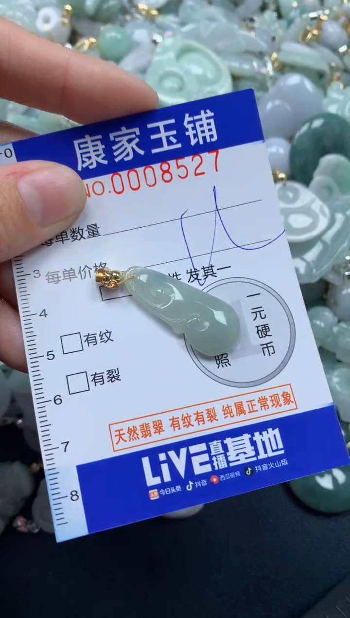 颈饰未镶嵌翡翠8527