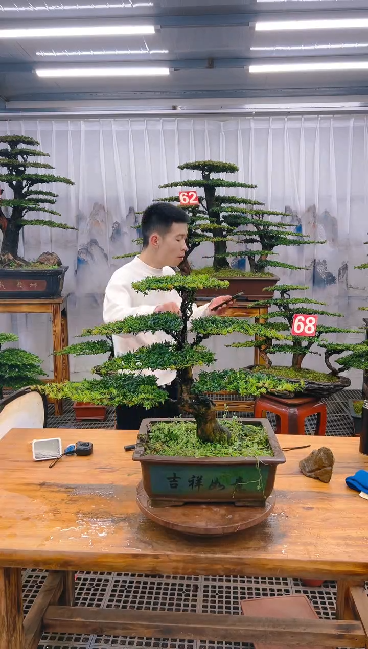 【闪购商品】紫砂精品盆景直播间一物一拍