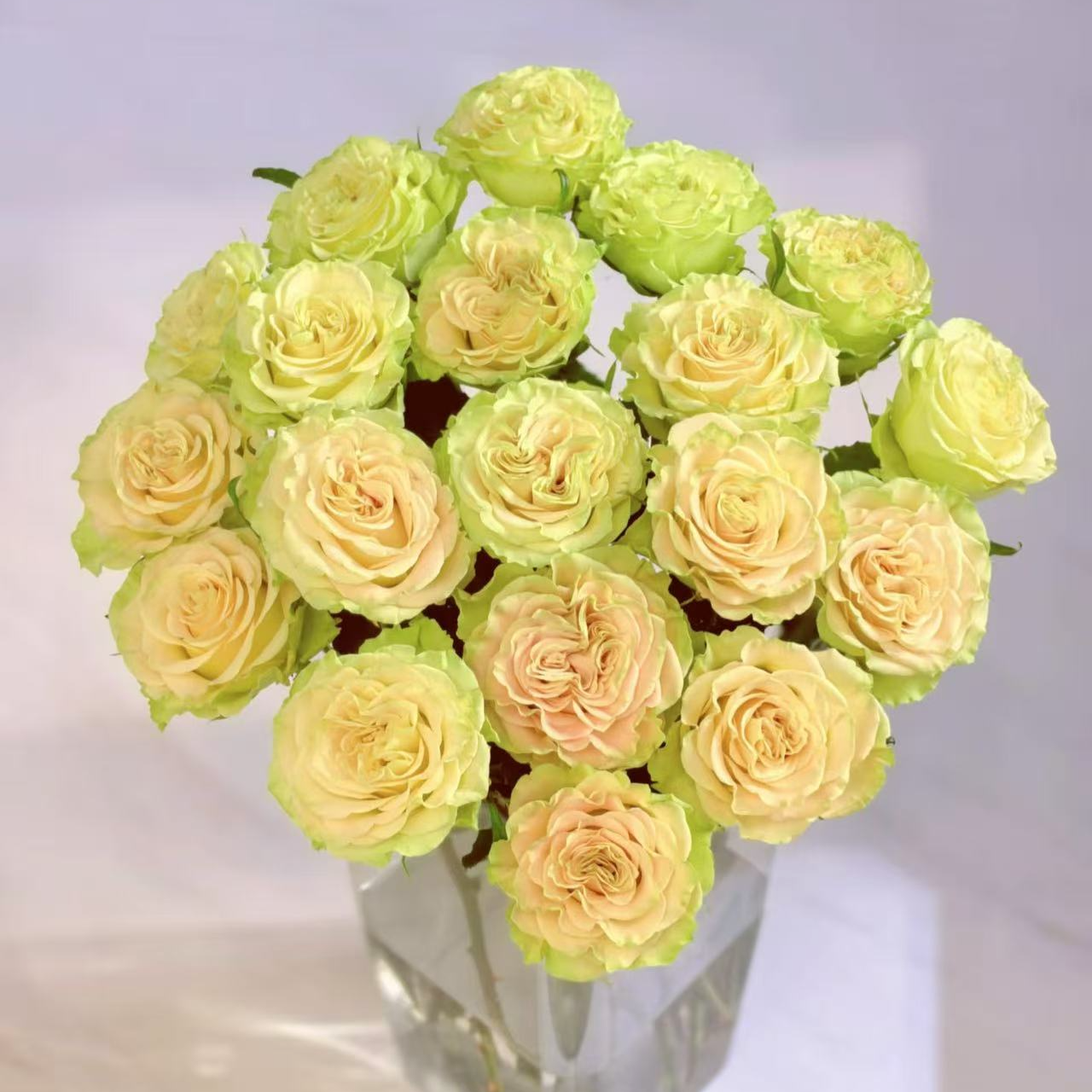 上官婉儿玫瑰-任意2单发顺丰快递