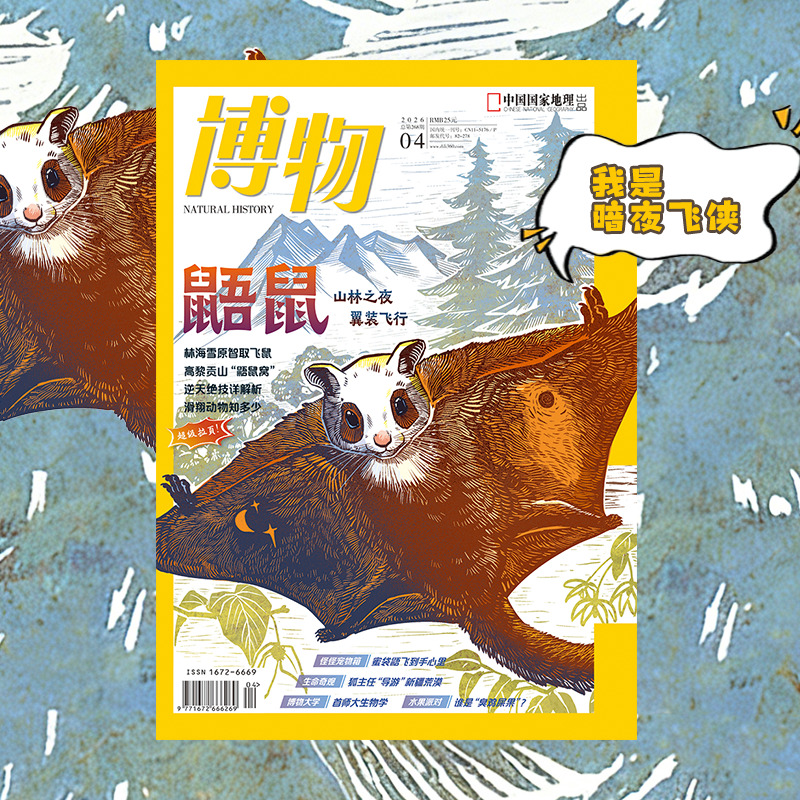 【202604】鼯鼠 养蜜袋鼯 首师大生物 博物杂志中国国家地理旗舰店