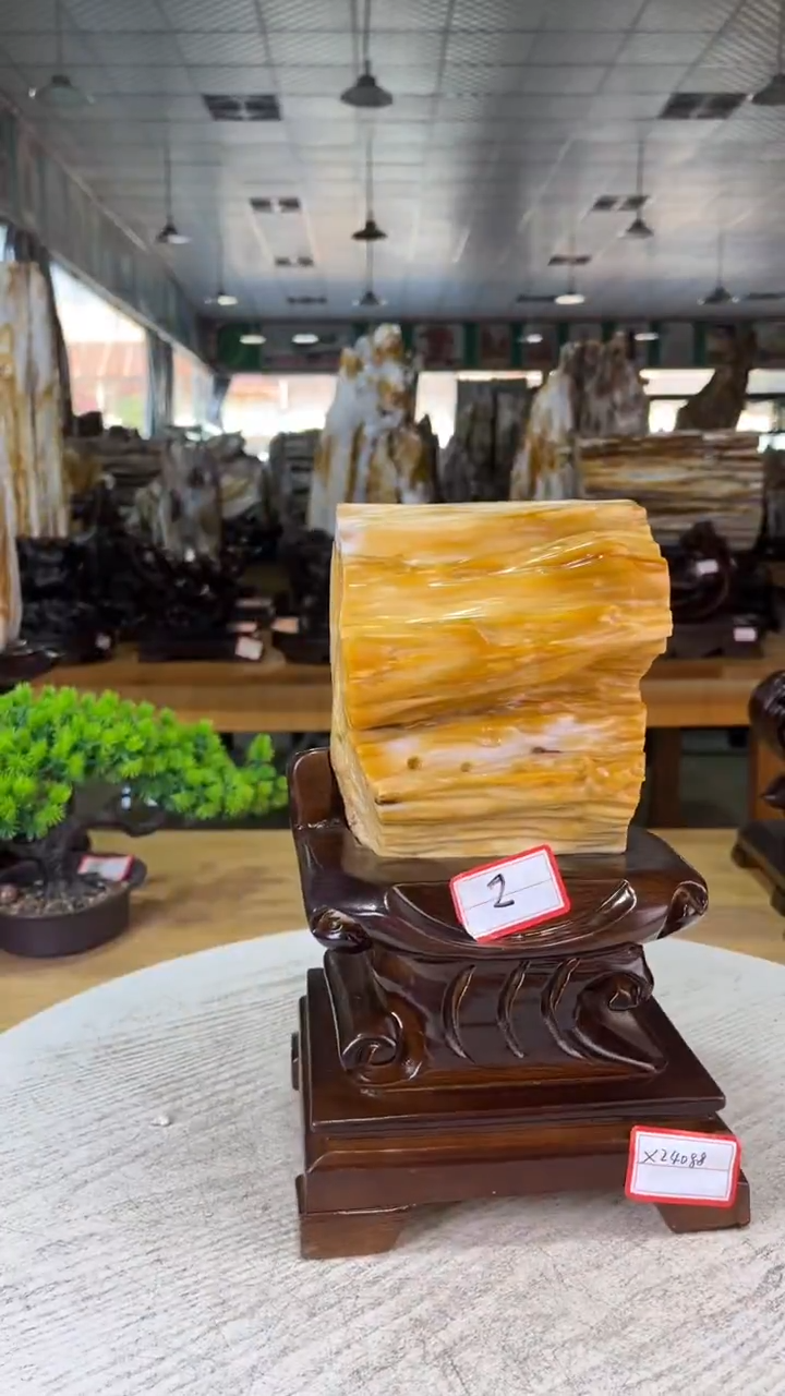 未镶嵌珠宝奇石硅化玉399