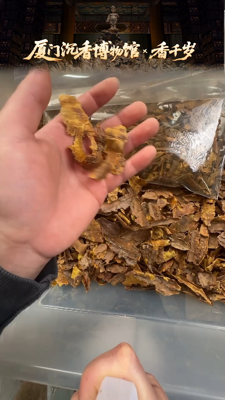 香料【倾国-许仙香材臻选】黄药膜黄金甲 多样性发货 30g